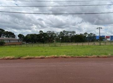 9559_i3PX77m38g11P_95596903a0d894626.jpg · Terreno | Pacaembu | Londrina