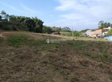 749727_iF26823S1gMG41_74972768ee41397e4e4.jpg · Terreno a venda margem da BR 101