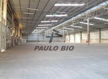 14541_i5lCM9rF4C14m37Px34im_14541690365f428a11.jpg · Comercial para aluguel - em Espinheiros