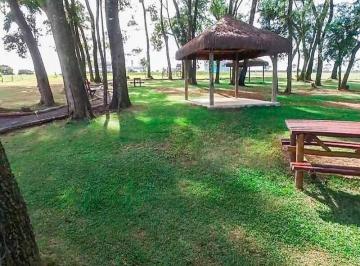 Terreno · 2318m² · Terreno à venda, 2318 m² por R$ 1.272.582,00 - Jardim Primavera - Artur Nogueira/SP