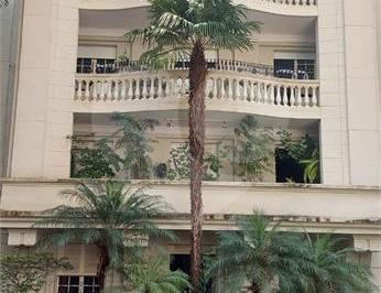 Apartamento · 300m² · 3 Quartos · 2 Vagas · Apartamento com 3 quartos à venda em Santa cecília - SP