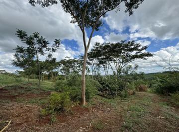 Rural · 36000m² · CHACARA DE 36.000 METROS EM PAICANDU PR
