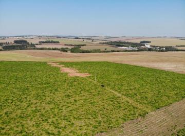 Rural · 20000m² · LOTE RURAL A VENDA 20.000M