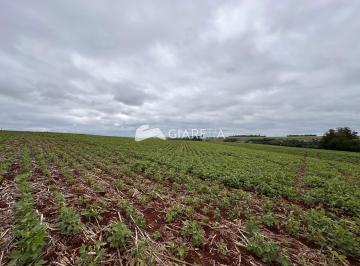 Rural · 36000m² · Chácara ampla à venda em XAXIM, ZONA RURAL, TOLEDO - PR