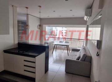 7585819b6ac2b2846ce644954c1b4a50.jpg · Apartamento de 42m² com 1 quartos