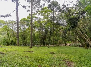 IOsVtOWYQhUfKXC6tCiu9ktHtTbjJEy44HHeZaN1.jpg · Terreno 745m2 rua sem saída Santa Felicidade