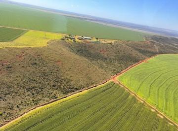 Rural , Tangará da Serra · FAZENDA 20.000 HÁ. À VENDA EM TANGARÁ DA SERRA-MT