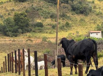Rural , Munhoz · SÍTIO À VENDA  MUNHOZ MG DOCUMENTOS OK
