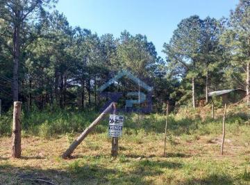 Terreno à venda - 360m² - Pinus Park · Terreno à venda - 360m² - Pinus Park