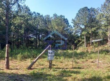 Terreno à venda - 360m² - Pinus Park · Terreno à venda - 360m² - Pinus Park