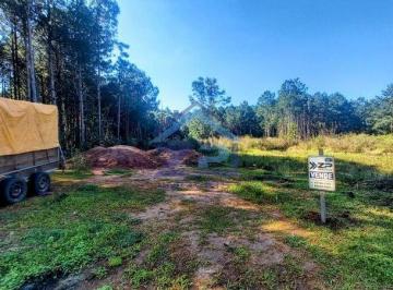 Terreno à venda - 360m² - Pinus Park · Terreno no Pinus Park