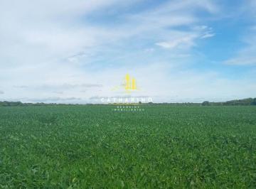 Rural · 1238ha · 2 Quartos · 1 Vaga · Fazenda Mista em Nobres/MT