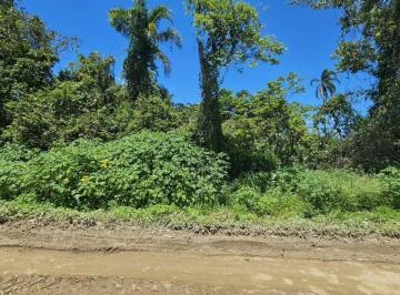 41c3f13802ab314daf6b082af52d47b62d6b3b3d · Terreno à venda, 750 m² por R$ 360.000,00 - Golfinho - Caraguatatuba/SP