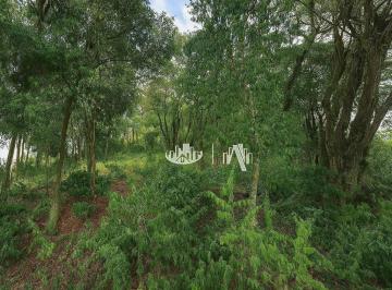 451e51062e3ed62930f269e460313c861ac608cd · Terreno à venda, 5559 m² por R$ 450.000,00 - Chácaras São Miguel - Londrina/PR