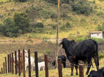 Rural · 96800m² · SÍTIO À VENDA MUNHOZ MG GRANDE OPORTUNIDADE COM 4 ALQUEIRES