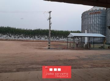 202510161737168781.jpg · Fazenda para Venda em Nova Ubiratã