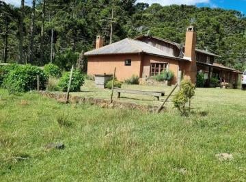Rural · 20000m² · Fazenda de 34 hectares - São Joaquim/SC, Serra Catarinense