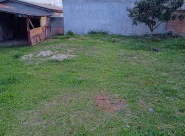 202511031453549474.jpg · Terreno para Venda em Florianópolis, Rio Vermelho