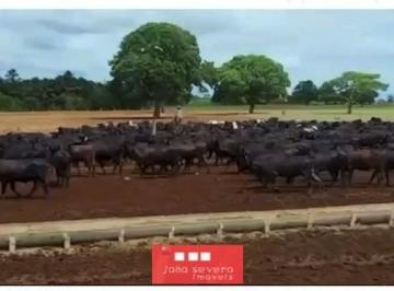 202511031704141106.jpg · Fazenda para Venda em Unaí
