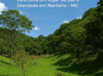 Rural de 3 quartos, Marliéria · Sítio São Domingos
