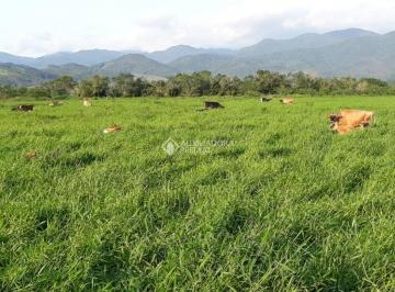 759653_iNMGnp883s7Sf613932_75965369050c2f29f6d.jpg · Fazenda com 207 Hectares à Venda - Paulo Lopes, SC