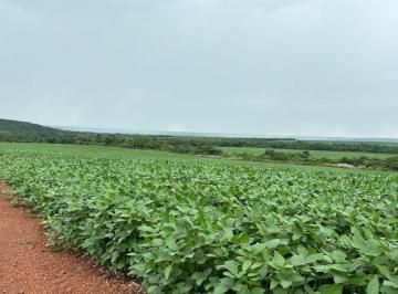 Rural · 17900000m² · FAZENDA À VENDA – MAIS REPASSE DE ARRENDAMENTO.