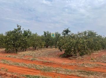 Rural · 45m² · Fazenda à venda em Pedras de Maria da Cruz/MG