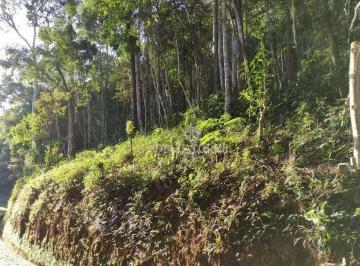 Terreno · 1750m² · Terreno em Parque do Imbui, Teresópolis/RJ de 0m² à venda por R$ 260.000,00