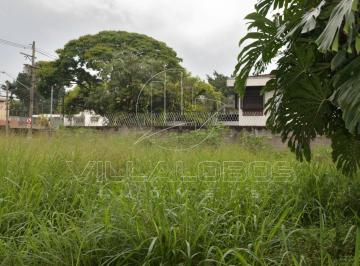 9730ced9f3e687a5dab45815ecb0e152cd5c07a6 · Terreno, 591 m² - venda por R$ 2.600.000,00 ou aluguel por R$ 19.968,55/mês - Alto de Pinheiros - Sã