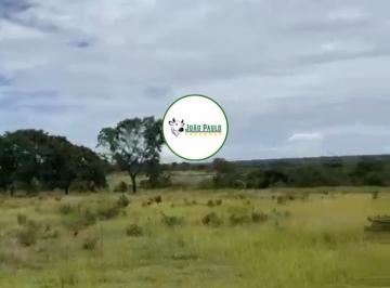 Rural , Água Clara · Fazenda a venda em Água Clara –MS - 1.194 HECTARES - Topografia plana - Pastagem