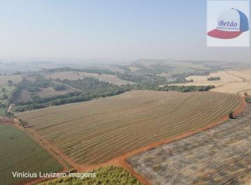 202509171523194132.jpg · Área Rural para Venda em São João da Boa Vista, Campo Belo