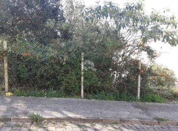 440346_i7433s7W8f52_44034664f8b1ccd8873.jpg · TERRENO NO BAIRRO CIDADE NOVA