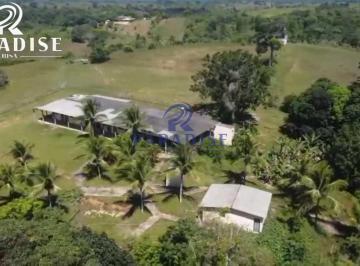 Rural · 17653m² · 10 Vagas · Fazenda, Barra do Pojuca, Camaçari - R$ 950 mil, Cod: 68905