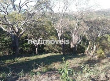 bfca137c-68b9-4856-a60b-1a5ce72409a3.webp · Lote Condominio Fechado - Vale do Tamanduá