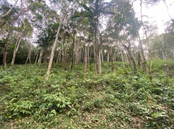 Terreno , São Lourenço da Serra · TERRENO PRÓXIMO DO CENTRO DE SÃO LOURENÇO DA SERRA (130 MIL)