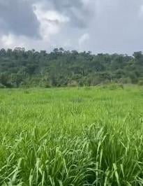 202511051121561136.jpg · Fazenda para Venda em São Félix do Xingu, ZONA RURAL