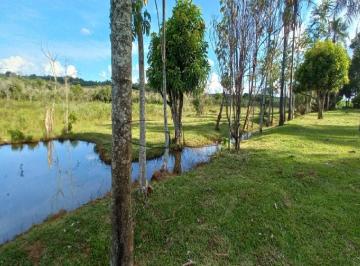 Foto 36 · Fazenda à Venda em Uberlândia-MG - Área Rural com Infraestrutura Completa