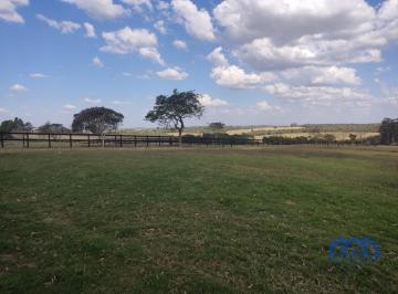 Foto 01 · Haras à Venda, 26 alqueires por R$ 14.000.000 Cód. ch2518
