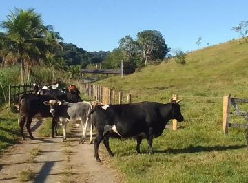 Rural de 5 quartos, Cachoeiras de Macacu · Fazenda em Cachoeiras de Macacu 