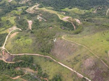 Rural · 78000m² · ÁREA À VENDA - CRUZ GRANDE - PINDAMONHANGABA - SP