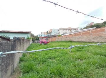 VISTA INTERNA ESQUERDA · Terreno na região central