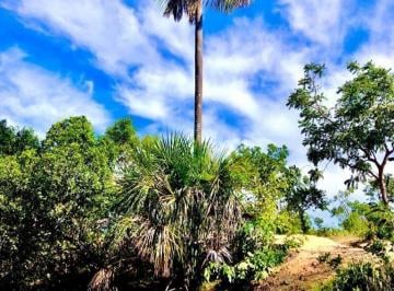 Rural · 44000m² · 4 Quartos · 10 Vagas · Sítio no Jalapão