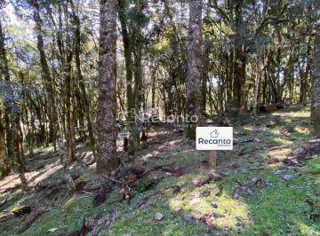 Terreno · 953m² · Terreno em Bosque Sinossera, Canela/RS de 953m² à venda por R$ 757.500,00