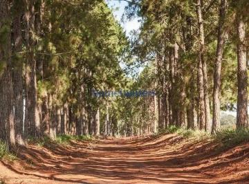 Terreno · 10m² · Terreno em Centro, Jaguariúna/SP de 10m² à venda por R$ 1.105.000,00