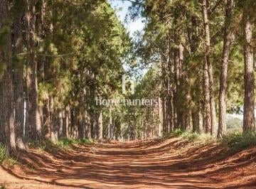Terreno · 10m² · Terreno em Centro, Jaguariúna/SP de 10m² à venda por R$ 1.105.000,00
