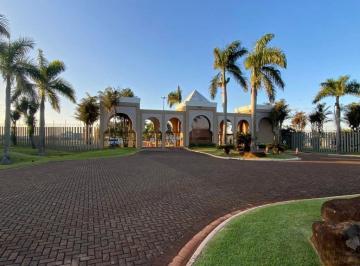 Terreno · 10m² · Terreno em Esperança, Londrina/PR de 10m² à venda por R$ 1.050.000,00