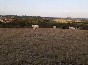 Rural · 20000m² · Chácara em , Elias Fausto/SP de 0m² à venda por R$ 1.200.000,00