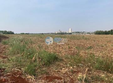 Terreno · 10m² · Terreno em Esperança, Londrina/PR de 10m² à venda por R$ 2.280.990,00