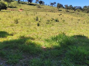 Foto 38 · ÓTIMO TERRENO DE 5 HECTARES C/ NASCENTE PRÓPRIA, ÁGUA CORRENTE E LAGOA À VENDA EM PIRACEMA/MG