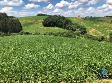 Foto 05 · Área a venda terreno Rural para plantio e chácara na Lapa Paraná